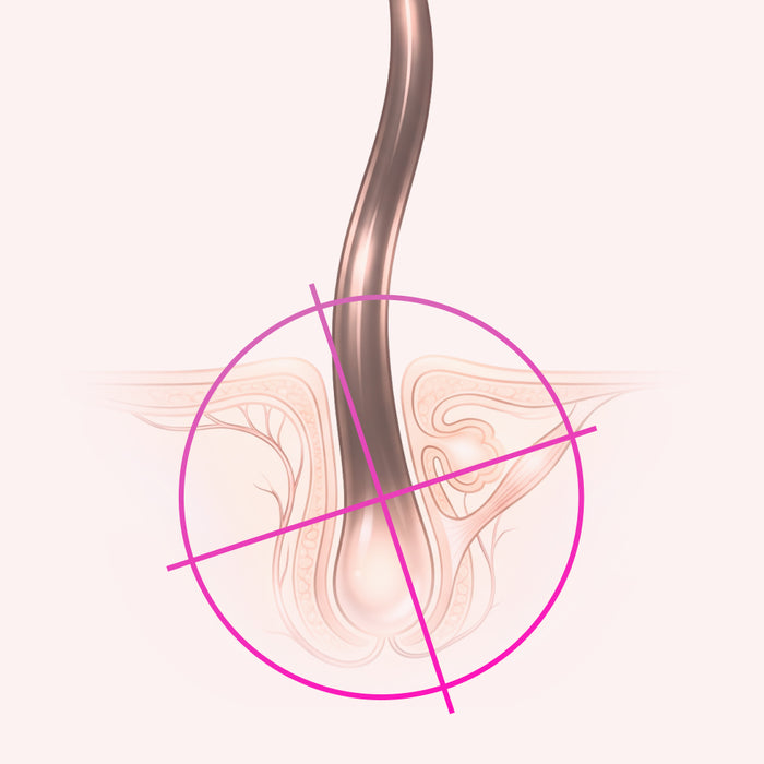 Engineered to Work at the Scalp and the Follicle Root