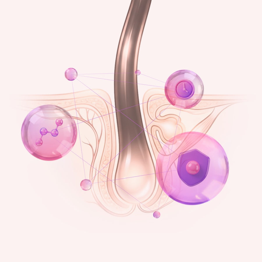 Engineered to Penetrate the Cuticle and Reach the Root
